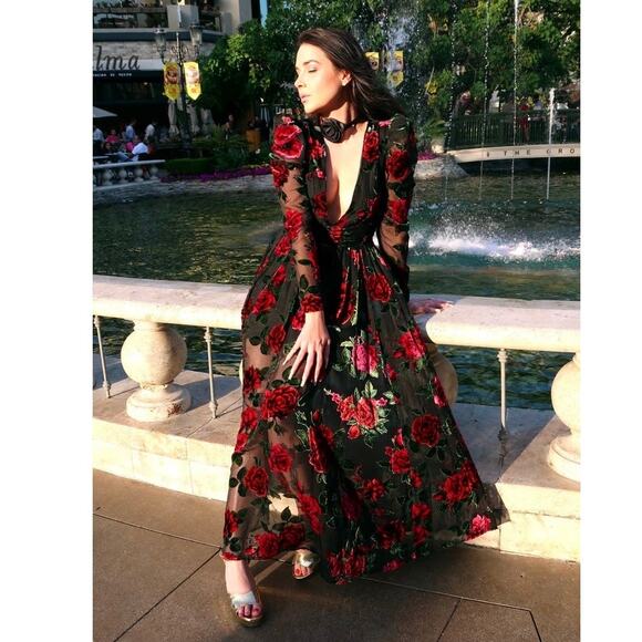 RACHEL PARCELL Black Red Floral Burnout A-Line Plunge Neckline Dress Size 0 - Picture 2 of 16